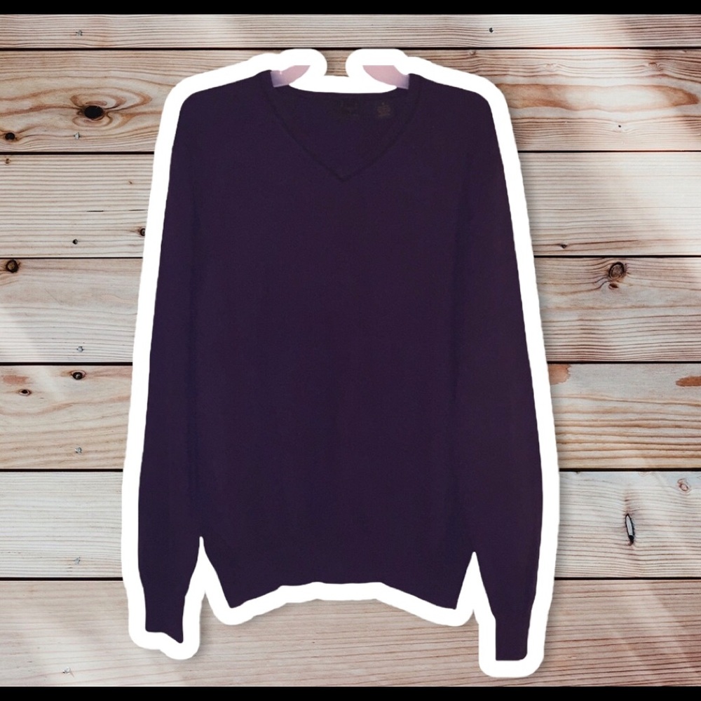 ✅- Joseph A Bank V Neck Sweater Plum